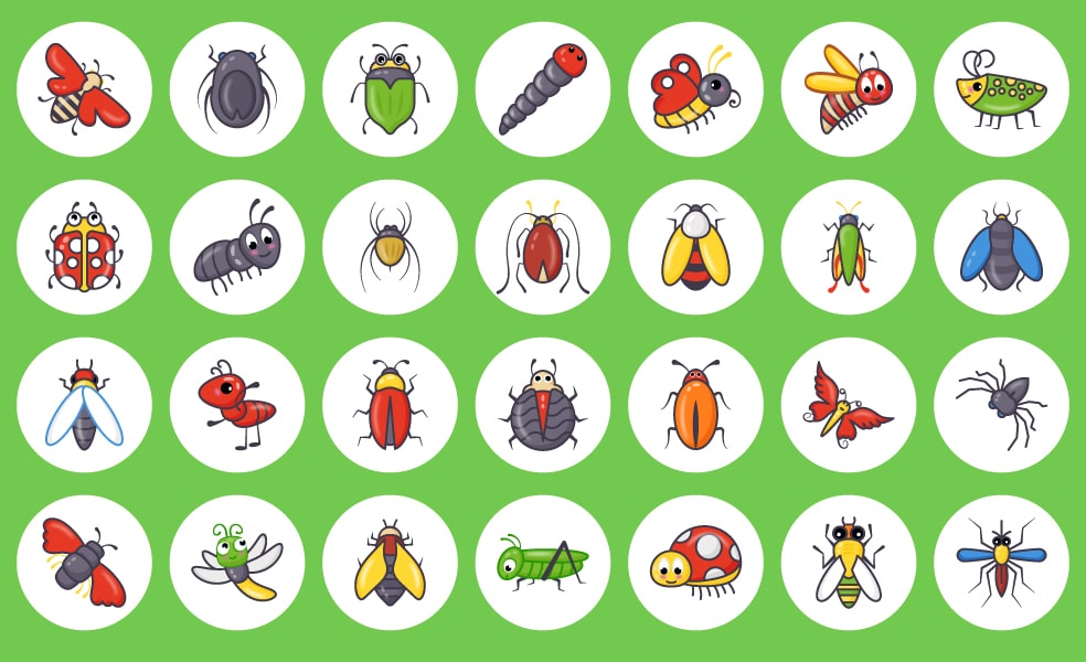 cute-insect-vectors-preview-9